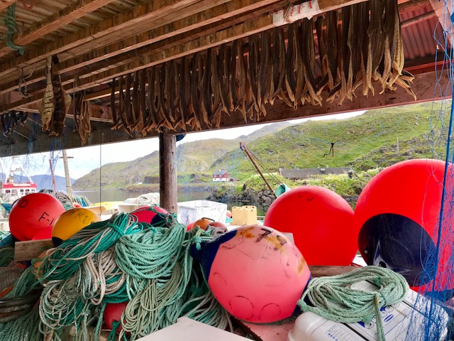 D4C79E70-4466-4979-9654-4D27B2AE752D