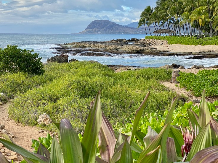 E152DBF8-1960-45AC-9E12-F9A430DA52F8